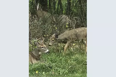 245 Summit Street, Iola, WI 54945 - Photo 17