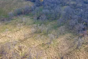 W14390 State Rd 23-49, Ripon, WI 54971 - Photo 55