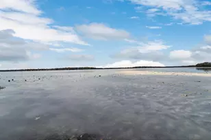 9407 Koby Ln, Pound, WI 54161 - Photo 7