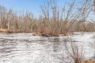 N11598 Kosir Ln, Athelstane, WI 54104 - Photo 5