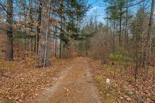 14754 N McComb Lake Ln, Mountain, WI 54149 - Photo 11