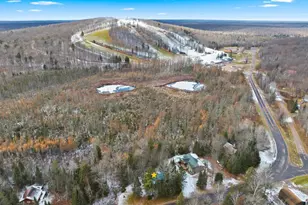 128 Big Bear Rd, Iron River, MI 49935 - Photo 33
