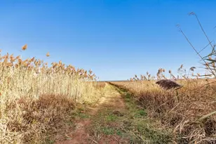 17707 Lakeshore Rd, Two Rivers, WI 54241 - Photo 25