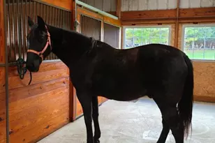 N700 S P3 Ln, Menominee, MI 49858 - Photo 29