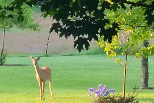 N700 S P3 Ln, Menominee, MI 49858 - Photo 47