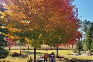 N700 S P3 Ln, Menominee, MI 49858 - Photo 43