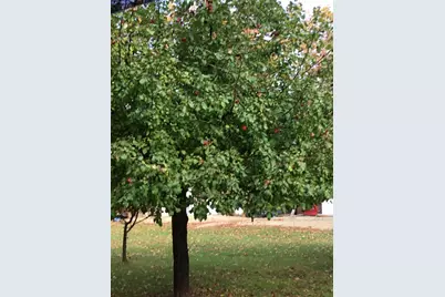 W6150 Steffen Lane, Pembine, WI 54156 - Photo 5