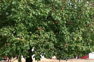 W6150 Steffen Ln, Pembine, WI 54156 - Photo 5