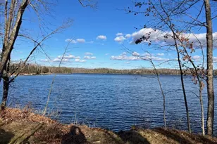 1462 N Lily Lake Ln, Pickerel, WI 54465 - Photo 5