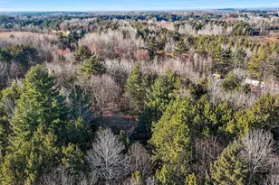 E11148 Eulrich Rd, Clintonville, WI 54929 - Photo 33