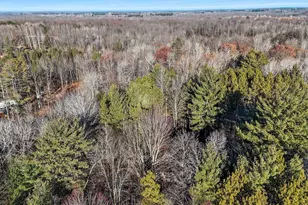 E11148 Eulrich Rd, Clintonville, WI 54929 - Photo 31