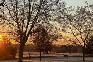 E7555 Ostrander Rd, New London, WI 54961 - Photo 29