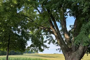 W10349 Valley View Rd, Shawano, WI 54166 - Photo 29