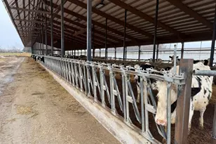 N5271 Madden Rd, New London, WI 54961 - Photo 85