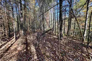 Right Of Way Rd, Pembine, WI 54156 - Photo 1