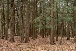 1059 Tacoma Beach Rd, Sturgeon Bay, WI 54235 - Photo 15