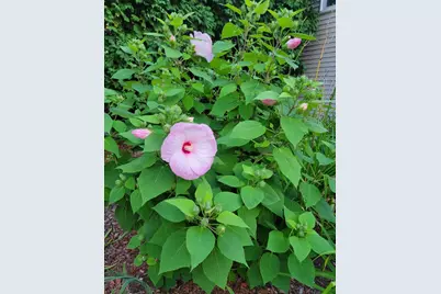 1249 Fieldview Drive, Menasha, WI 54952 - Photo 43