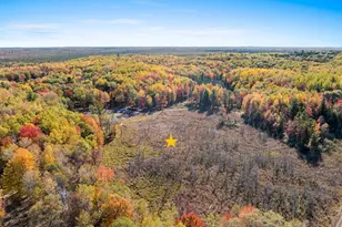 10014 Tank Ln, Brazeau, WI 54161 - Photo 47