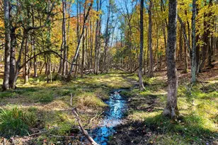 10014 Tank Ln, Brazeau, WI 54161 - Photo 63