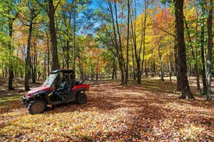 10014 Tank Ln, Brazeau, WI 54161 - Photo 33