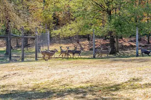 10014 Tank Ln, Brazeau, WI 54161 - Photo 83