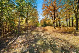 10014 Tank Ln, Brazeau, WI 54161 - Photo 53