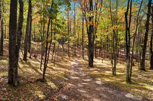 10014 Tank Ln, Brazeau, WI 54161 - Photo 37