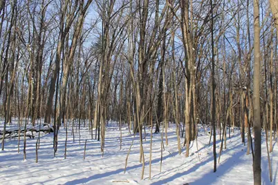 Old Military Road, De Pere, WI 54115 - Photo 23