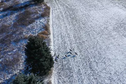 Old Military Road, De Pere, WI 54115 - Photo 11