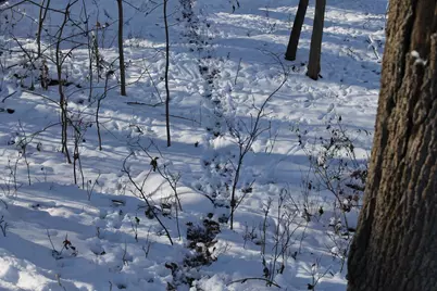 Old Military Road, De Pere, WI 54115 - Photo 19