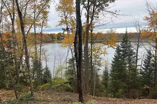 15744 Double B Ln, Mountain, WI 54149 - Photo 65