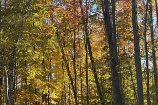 15744 Double B Ln, Mountain, WI 54149 - Photo 61