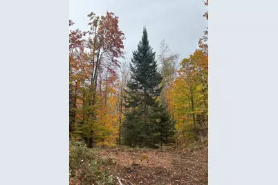 15744 Double B Lane, Mountain, WI 54149 - Photo 63