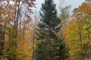 15744 Double B Ln, Mountain, WI 54149 - Photo 63
