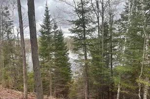 15744 Double B Ln, Mountain, WI 54149 - Photo 47