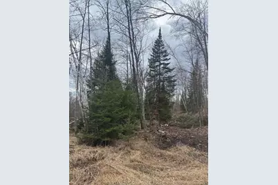 15744 Double B Lane, Mountain, WI 54149 - Photo 43