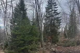 15744 Double B Ln, Mountain, WI 54149 - Photo 43