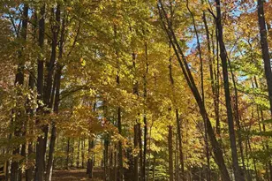 15744 Double B Ln, Mountain, WI 54149 - Photo 61