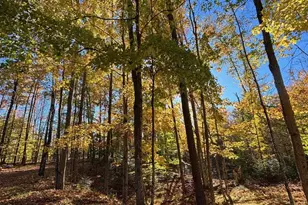 15744 Double B Ln, Mountain, WI 54149 - Photo 63