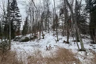 15744 Double B Ln, Riverview, WI 54149 - Photo 59