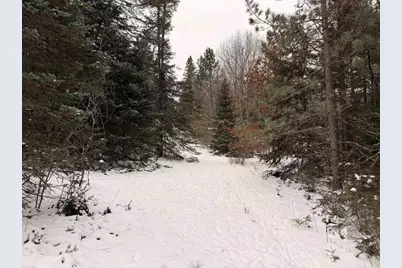 Forest Hill Drive, Townsend, WI 54175 - Photo 3