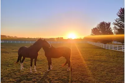 5678 Morrison Road, De Pere, WI 54115 - Photo 83