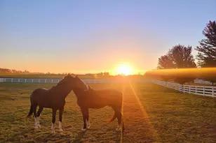 5678 Morrison Rd, De Pere, WI 54115 - Photo 83