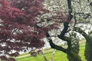 111 Canal St, Little Chute, WI 54140 - Photo 71