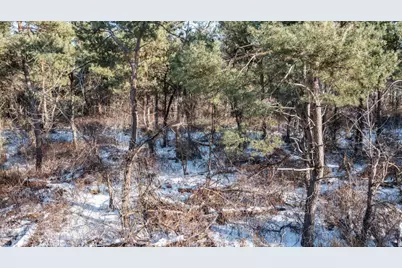 County Rd Y, Clintonville, WI 54929 - Photo 11