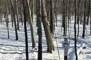 E2315 Woodridge Dr, Waupaca, WI 54981 - Photo 49