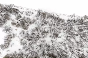 9673 Dudzik Rd, Krakow, WI 54137 - Photo 33