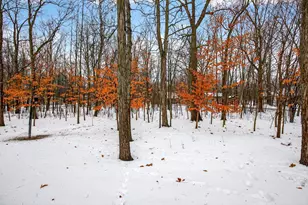 1156 Shaggy Bark Dr, Neenah, WI 54956 - Photo 5