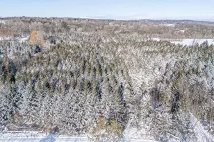 E8130 Flease Rd, Mukwa, WI 54961 - Photo 81