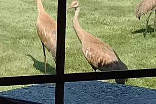 N5619 Riverside Dr, Shawano, WI 54166 - Photo 35